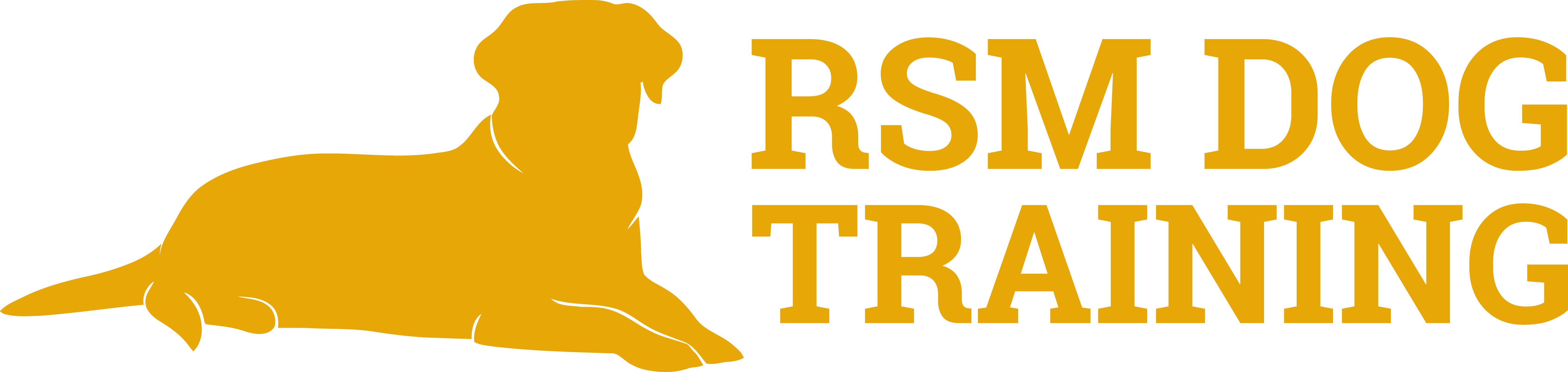 RSM