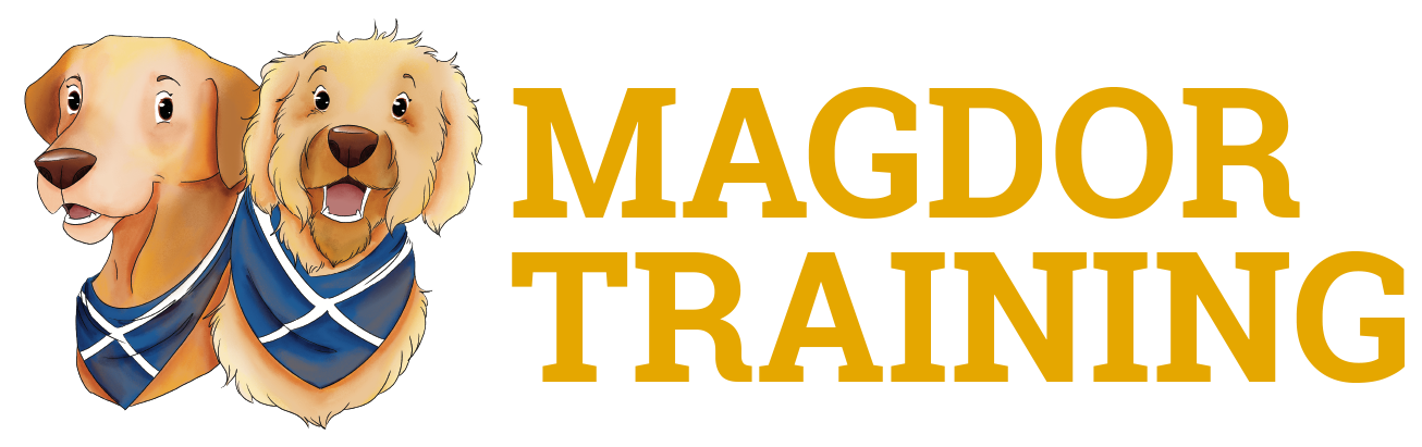 MagdorTrainingLogo